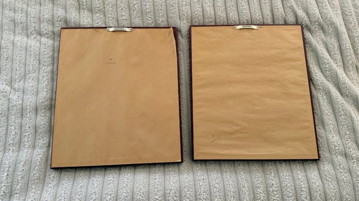 Set of two vintage framed wall art prints 🌿