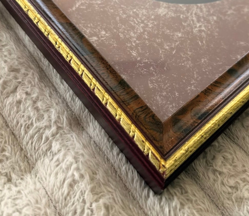 Set of two vintage framed wall art prints 🌿