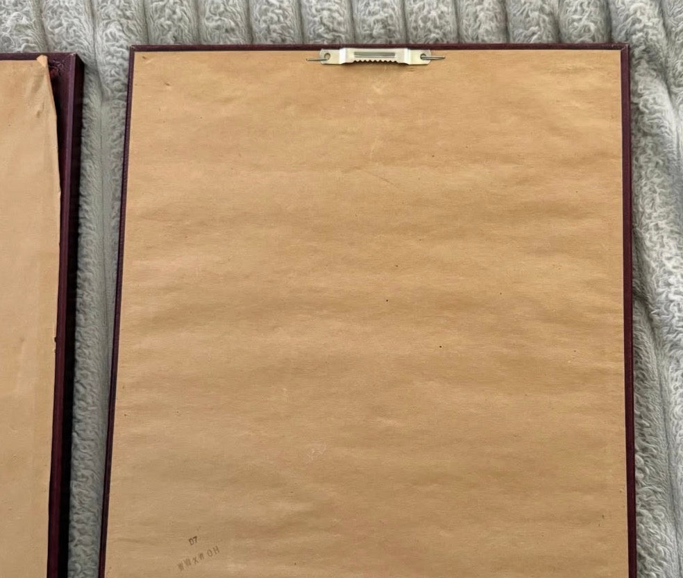 Set of two vintage framed wall art prints 🌿